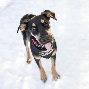 Meet your Posher, Vikki